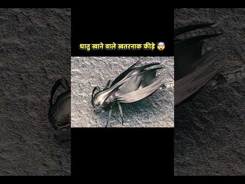 धातु खाने वाले खतरनाक कीड़े | new Hollywood hindi dubbed movie | Hollywood movie 2025
