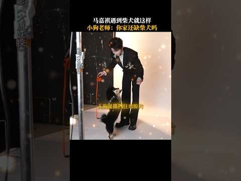 【TNT时代少年团 马嘉祺】电影 大唐妖探 主题曲 《不退!》 MV拍摄花絮 (马嘉祺演唱)【Ma JiaQi】